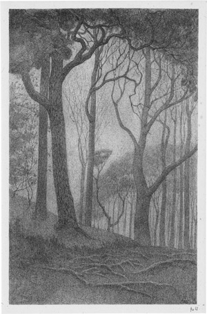 Los 5466 - Moulijn, Simon - Waldlandschaft im Nebel - 0 - thumb