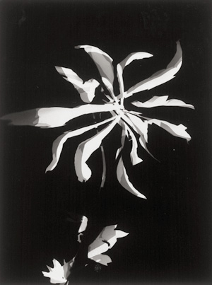 Lot 4251, Auction  123, Moholy-Nagy, László, Selected images