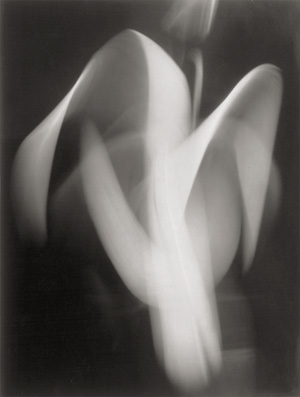 Lot 4267, Auction  123, Quigley, Edward W., Photogram
