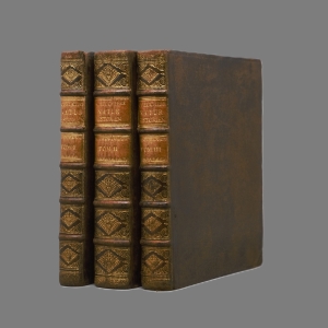 Los 140 - Scheuchzer, Johann Jacob - Natur-Historie des Schweizerlandes. 2. Aufl. 3 Bände. Zürich, Heidegger, 1752 - 1 - thumb