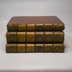 Los 140 - Scheuchzer, Johann Jacob - Natur-Historie des Schweizerlandes. 2. Aufl. 3 Bände. Zürich, Heidegger, 1752 - 2 - thumb