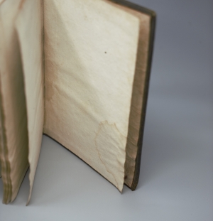 Los 140 - Scheuchzer, Johann Jacob - Natur-Historie des Schweizerlandes. 2. Aufl. 3 Bände. Zürich, Heidegger, 1752 - 5 - thumb