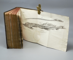 Los 140 - Scheuchzer, Johann Jacob - Natur-Historie des Schweizerlandes. 2. Aufl. 3 Bände. Zürich, Heidegger, 1752 - 6 - thumb