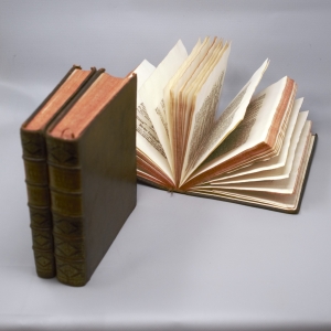 Los 140 - Scheuchzer, Johann Jacob - Natur-Historie des Schweizerlandes. 2. Aufl. 3 Bände. Zürich, Heidegger, 1752 - 7 - thumb