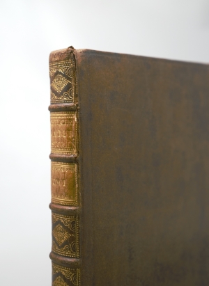 Los 140 - Scheuchzer, Johann Jacob - Natur-Historie des Schweizerlandes. 2. Aufl. 3 Bände. Zürich, Heidegger, 1752 - 11 - thumb