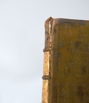 Los 140 - Scheuchzer, Johann Jacob - Natur-Historie des Schweizerlandes. 2. Aufl. 3 Bände. Zürich, Heidegger, 1752 - 12 - thumb