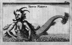 Lot 148, Auction  125, Viridarii Adriatici Teriotrophaeum, Oder deß um den Venetianischen Golfo. Augsburg, J. Enderlin, 1687