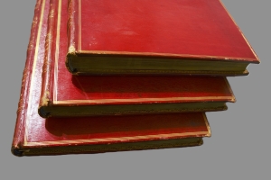 Los 372 - Levaillant, François - Histoire naturelle des oiseaux. Paris 1801-1818 - 35 - thumb