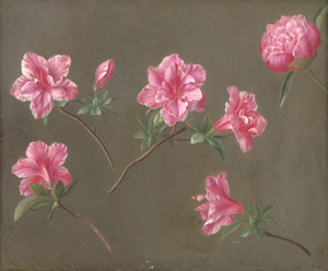 Los 6175 - Östereichisch - 19. Jh. Indische Azalee (Rhododendron simsii) - 0 - thumb