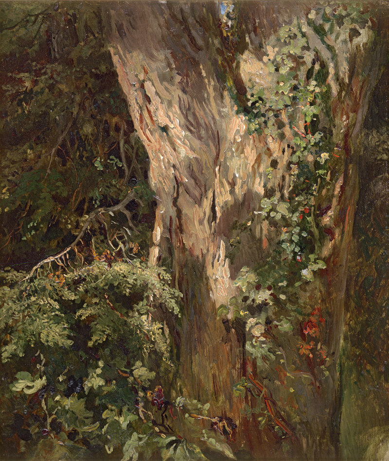 Lot 6212, Auction 126, Französisch, um 1860. Studie einer bewachsenen Eiche