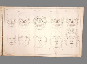 Lot 306, Auction  127, Camper, Peter, Über den natürlichen Unterschied der Gesichtszüge in Menschen