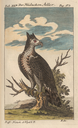 Lot 348, Auction  127, Buffon, Georges Louis Leclerc Comte de, Naturgeschichte der vierfüßigen Thiere [und:] Vögel. 