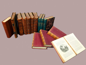 Los 355 - Kirby, William Forsell - A handbook to the order lepidoptera - 1 - thumb