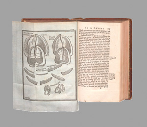 Los 375 - Le Verrier de la Conterie, J. B. J. - Vénerie normande - 1 - thumb