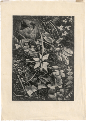 Los 5395 - Heise, Wilhelm - Moosiger Baumstumpf - 0 - thumb