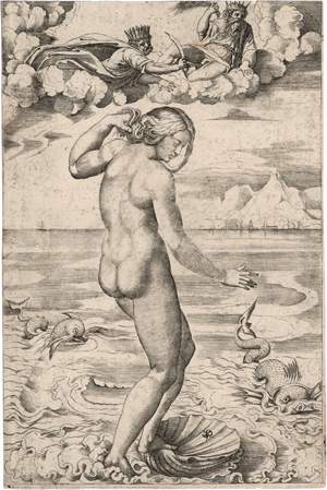 Los 5478 - Dente, Marco - Die Geburt der Venus - 0 - thumb