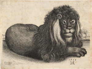 Los 6358 - Hollar, Wenzel - Liegender Löwe - 0 - thumb