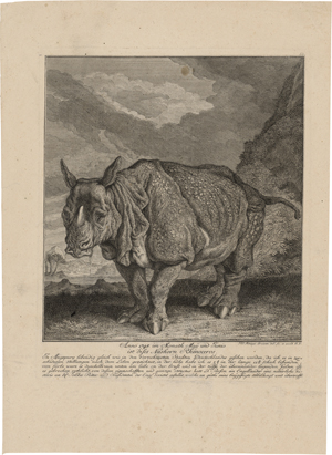 Los 6361 - Ridinger, Johann Elias - Rhinocerus ("Miss Clara") - 0 - thumb