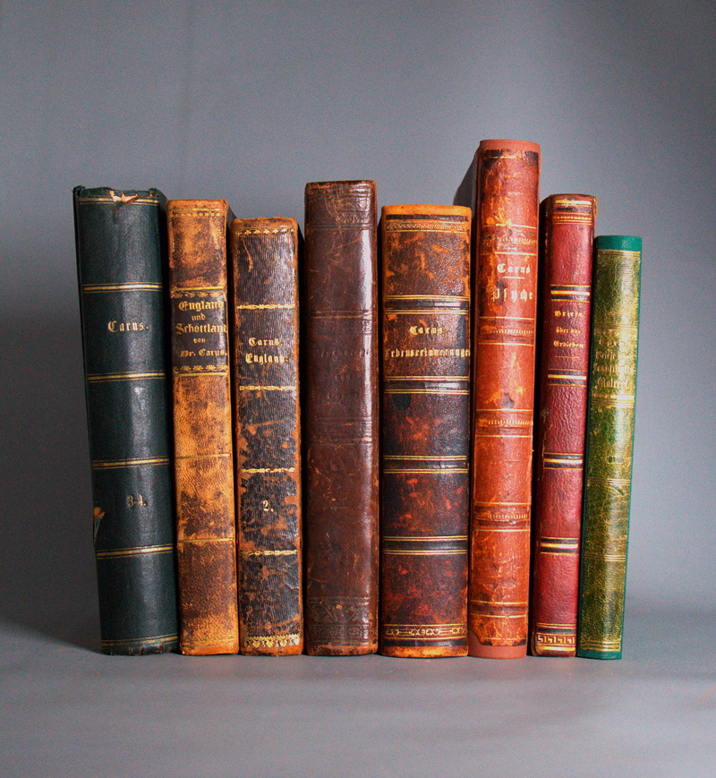 Lot 307, Auction 127, Carus, Carl Gustav, Konvolut von 11 Werken