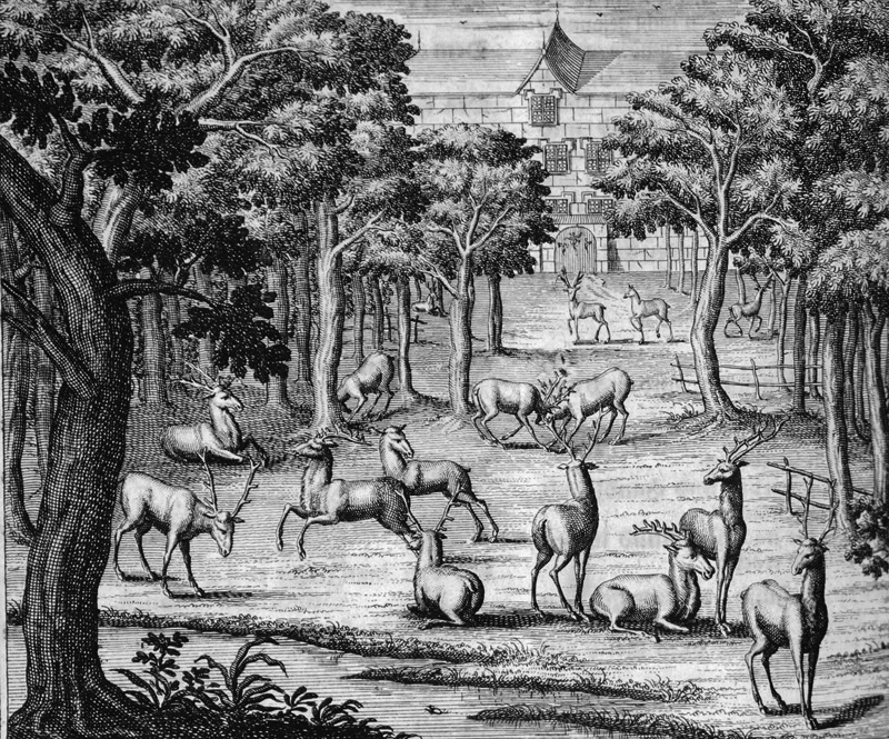 Lot 369, Auction  127, Florinus, Franz Philipp, Oeconomus prudens et legalis continuatus