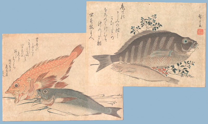 Lot 617, Auction 127, Hiroshige, Ando Ichiryusai, 3 farbige Ukiyo-e-Holzschnitte aus der Serie "Die großen Fische"