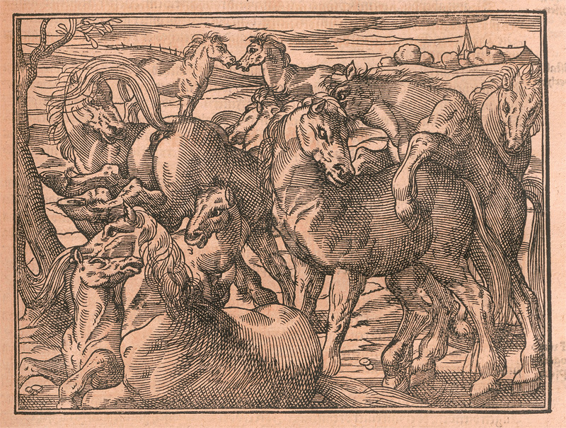 Lot 1115, Auction 127, Estienne, Charles und Liébault, Jean, XV Bücher von dem Feldbau