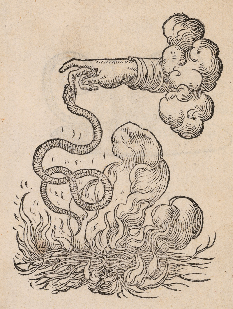 Lot 1175, Auction 127, Paradin, Claude, Devises Heroiques. Lyon, Jean de Tournes, 1551. - Erste Ausgabe der ersten Sammlung von Sinnbildern, die zur Erklärung verschiedener Embleme dienen