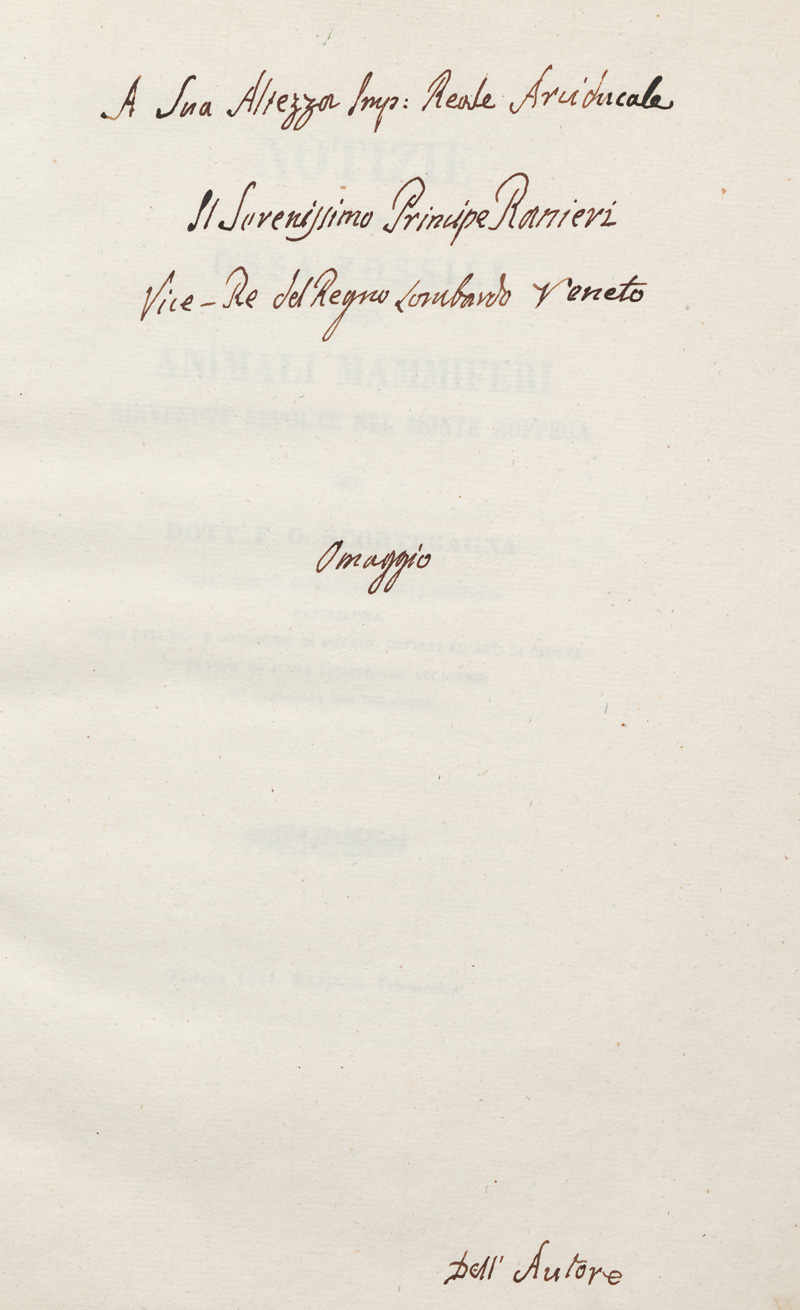 Lot 1299, Auction 127, Scortegagna, F. O., Notizie sulle ossa fossili degli animali mammiferi