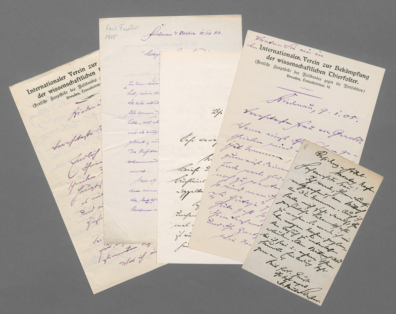 Lot 2513, Auction 127, Förster, Paul, 9 Briefe und eine Karte an Rosa von Gerold. 1884-1905