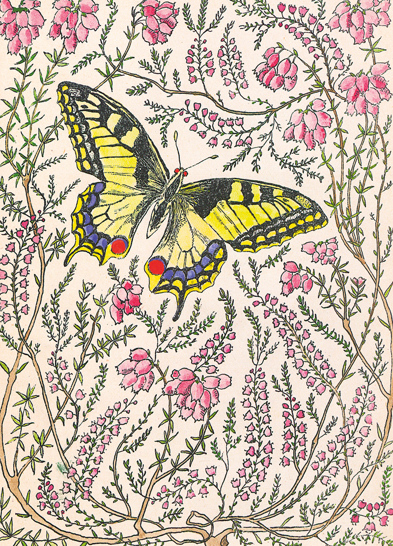 Lot 3092, Auction 127, Ernst, Else, Bilder und Geschichten aus dem Leben der Kerfe