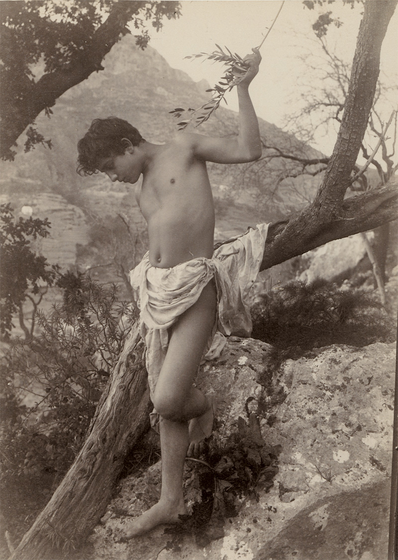 Lot 4071, Auction 127, Gloeden, Wilhelm von, Young boy leaning on tree branch