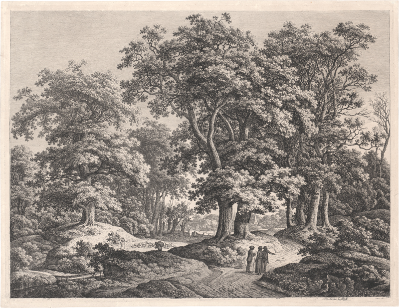 Lot 5562, Auction 127, Kolbe, Carl Wilhelm, Landschaft mit Gruppen hoher Eichen