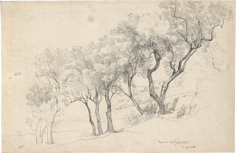 Lot 6657, Auction 127, Gurlitt, Louis, Olivenhain auf Capri